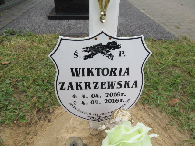Wiktoria Zakrzewska 2016 Końskie - Grobonet - Wyszukiwarka osób pochowanych